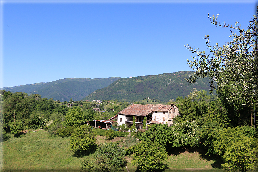 foto Colli degli Ezzelini